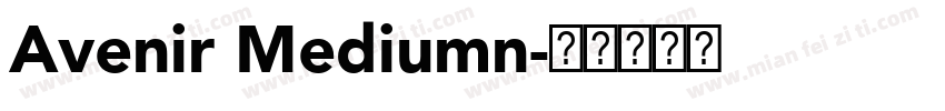 Avenir Mediumn字体转换